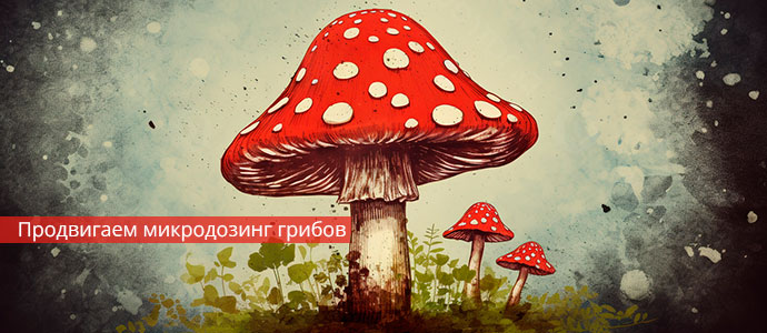 SEO продвижение сайта микродозинга грибов: от мухомора до псилоцибиновых